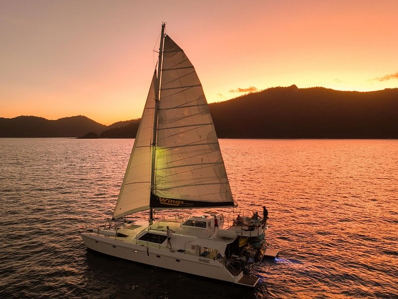 A catamaran under sail at sunset, the island hills dark behind it