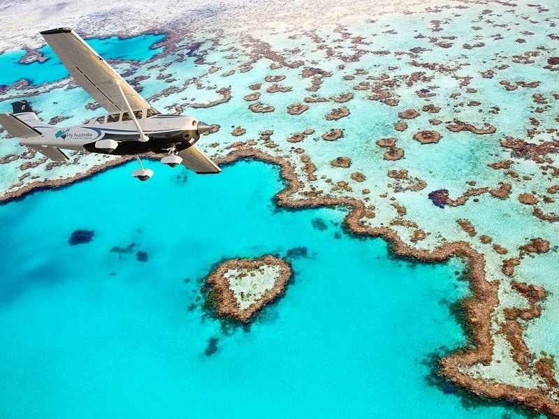 Heart Reef under the wing of a scenic flight, coral outcrops scattered across the shallow reef around it