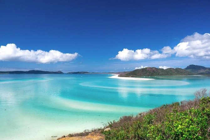 Hill Inlet's pale sand and blue channels from the scrub on the headland, an island on the horizon