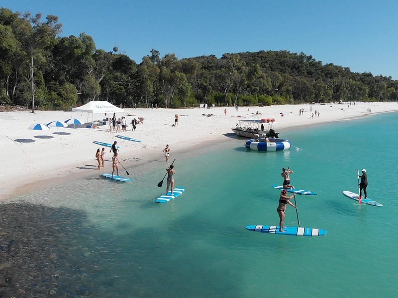 Paddleboarders in the shallows of a white sand beach, a shade shelter and a moored boat behind them