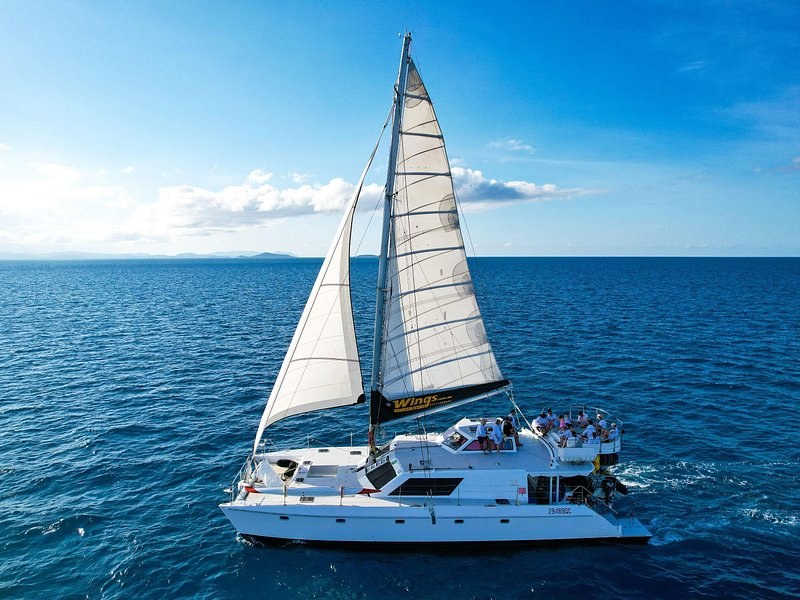 A sailing catamaran under full sail on deep blue water