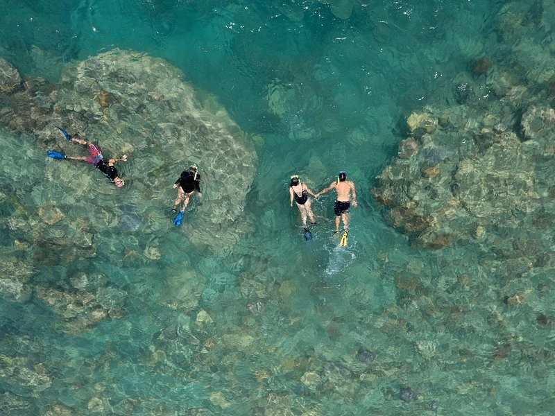 Snorkellers swimming between coral bommies in shallow blue-green water, seen from the air