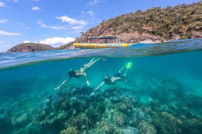 A split view of two snorkellers over a fringing reef, a rocky island shore above the waterline