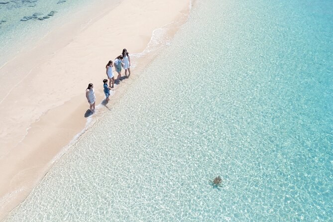 Walkers on white sand at the water's edge seen from straight above, a turtle resting in the clear shallows beside them
