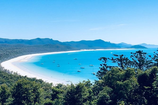 Whitehaven Beach through the treetops, yachts anchored along the bay and the islands of the Whitsundays behind